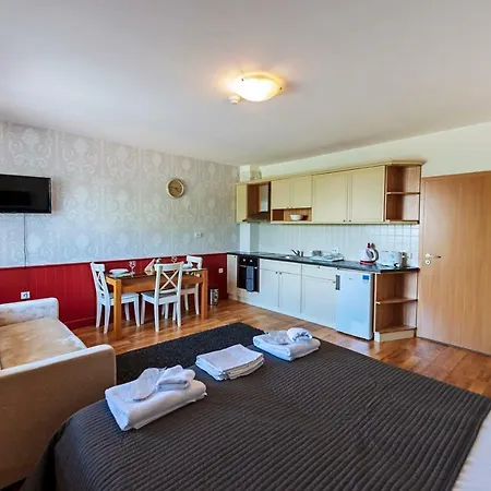 Mountain View アパートホテル バンスコ